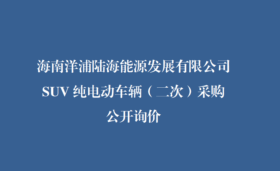 海南洋浦陆海能源发展有限公司SUV纯电动车辆（二次